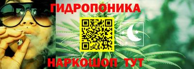 apvp Гусь-Хрустальный