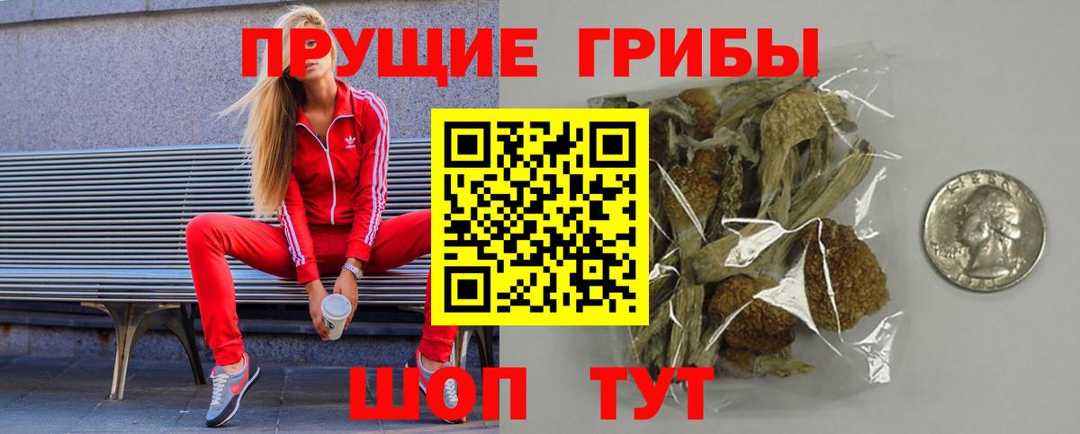 Галлюциногенные грибы Psilocybine cubensis  Вход с VPN  Псилоцибиновые грибы Psilocybe  Волжск 